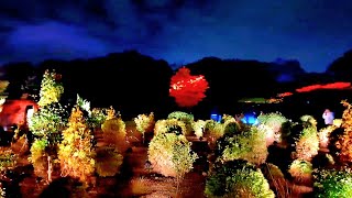 Away In A Manger - Anne Murray