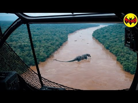 Algo Nunca Antes Visto Fue Detectado Durante Vigilancia Militar