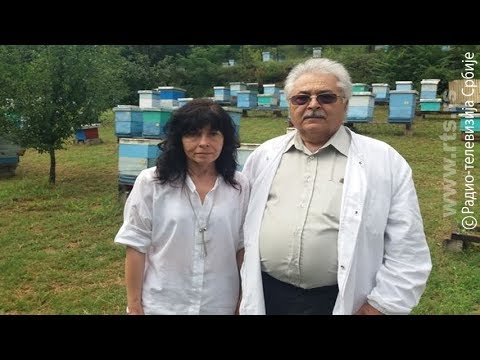 Profesionalci: Dr Aneta Georgijev i Srbislav Vidojević, stručnjaci za pčelarstvo