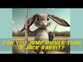 Can You Jump Higher Than A Jack Rabbit