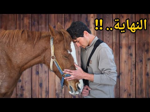 النهاية ... 😣