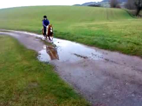 Iltschi der "eiqentlich" Wasserscheue :D