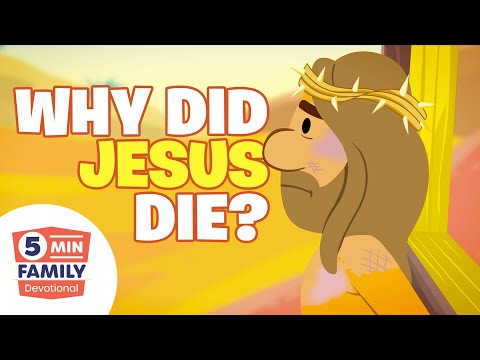 Witness21 Editor  2023 02 20