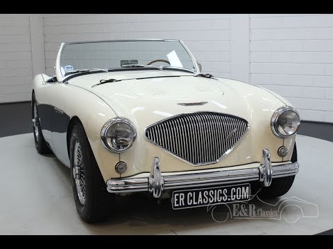 1956 Austin-Healey 100-4 BN2 (CC-1361140) for sale in Waalwijk, Noord-Brabant