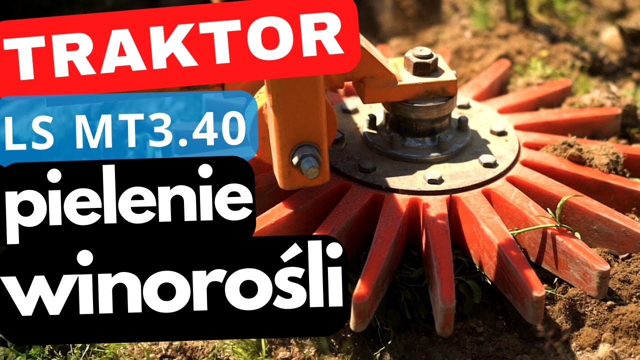 Pielenie winorośli ciągnikiem LS Tractor MT3.40 :: Traktor.com.pl
