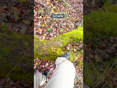 Wet Welsh Winter Wander! #wales #wrexham #footpath #gate #countryside #farming #lanes #roads #rural