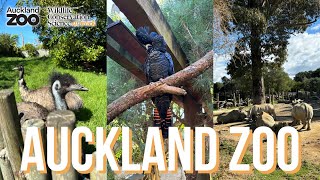 Auckland Zoo New Zealand | Auckland Zoo Tour