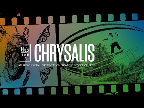 Image for video CHRYSALIS