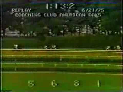 Ruffian, her last complete race