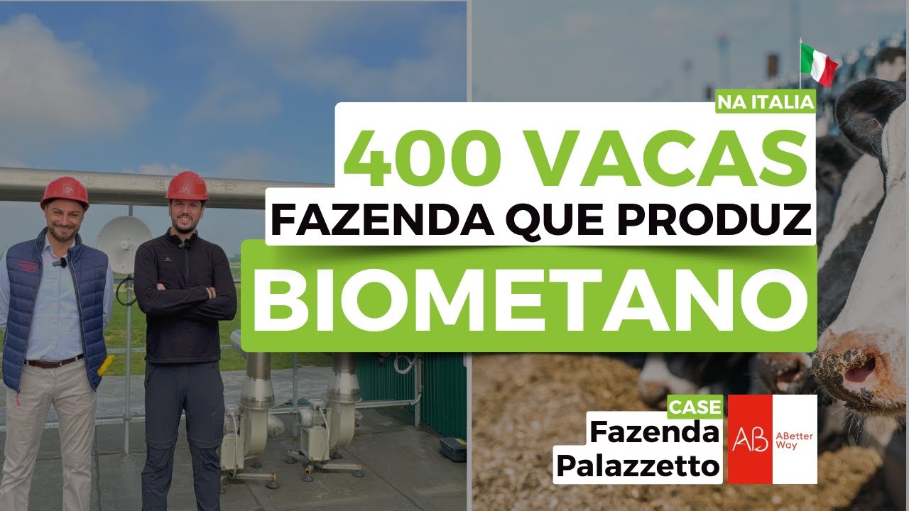 BIOMETANO EM UMA BOVINOCULTURA | Conheça um projeto de biogás em uma fazenda de leite na Itália!