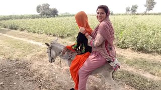 Girl Donkey Riding On Small Donkey With Little Rider