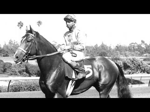 2018 Washington Racing Hall of Fame: Mustard Plaster