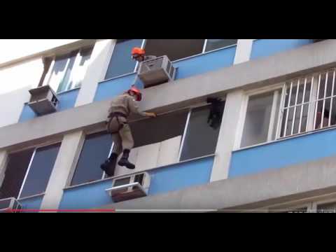 Katze und Hund scheitern  lustige Tier Kompilation