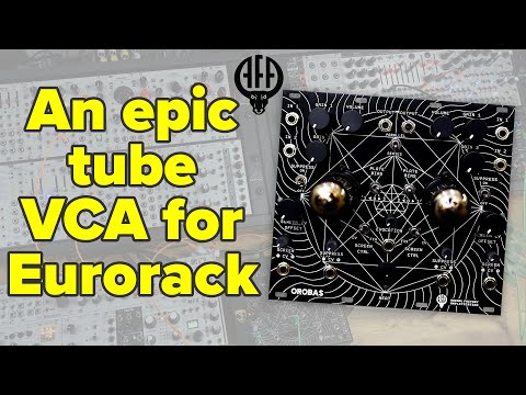 Animal Factory Orobas II | Why do tubes sound so good?