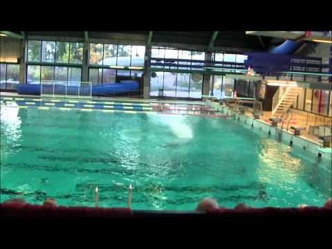 2011 NM (Beste stup), Norwegian Nationals (Best Dives)