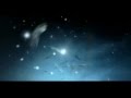 Bjork - Desired Constellation official video - Ruslan Russale Bjork - Desired Constellation official video