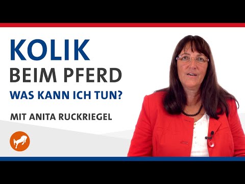 Koliken beim Pferd erkennen und rechtzeitig (be)handeln