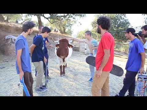 Reproducir vídeo