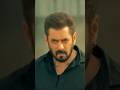 Sikandar Movie Flop Ho Gayi Salman Khan Lowest Box Office Collection Bollywood Boxofficeindia