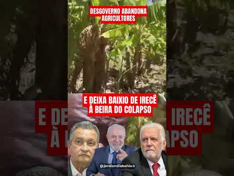 🚨 Agricultores baianos abandonados pelos governos estadual e federal