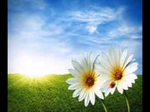 Balsam Boys - Här kommer sommaren