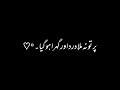 Dil Ko Tera Intezar Rah Gaya Black Screen WhatsApp Status