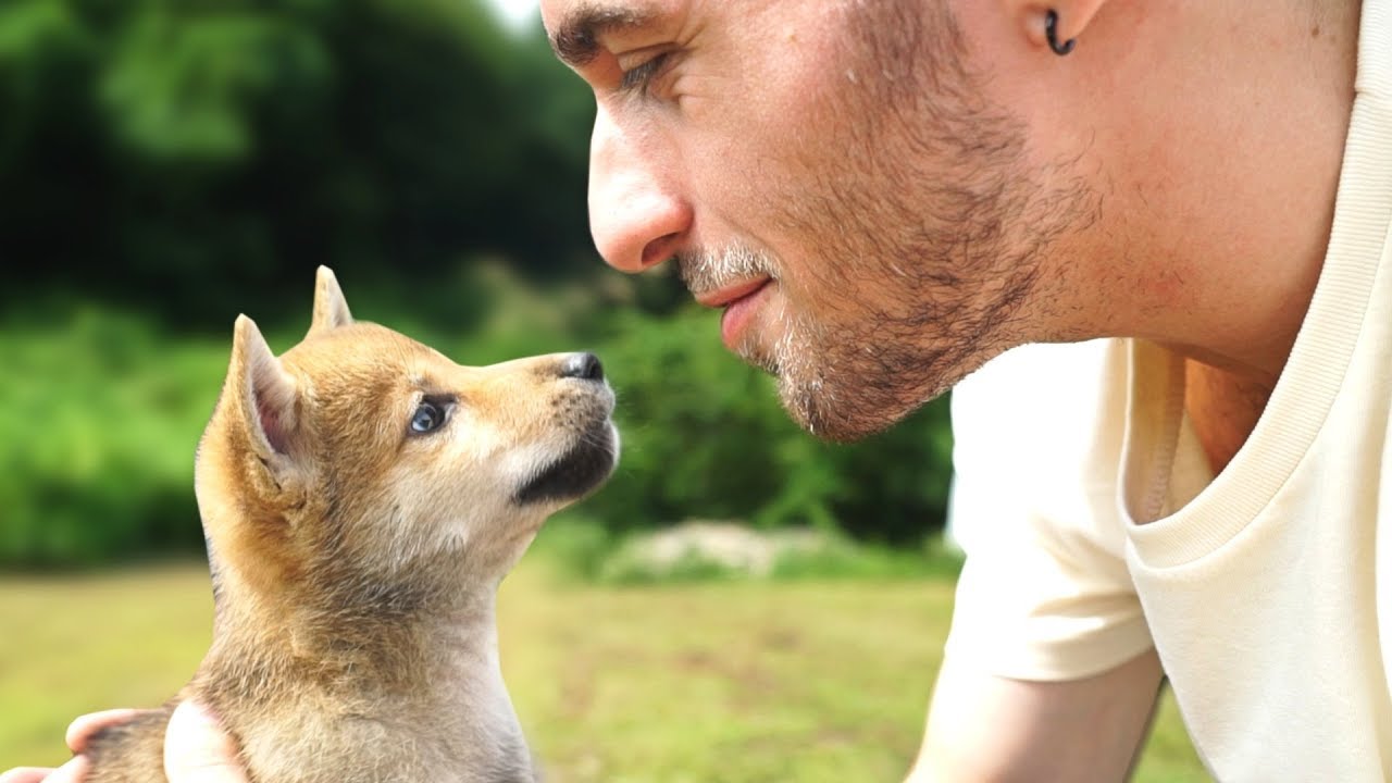 J'ADOPTE UN CHIEN ! thumbnail