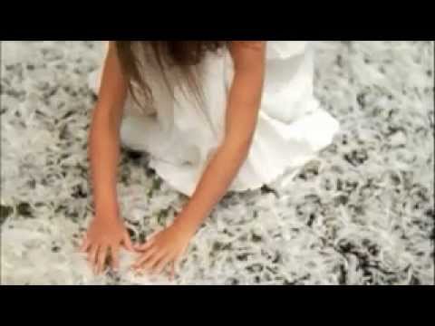 Beautiful Bird Music Video by Cindy Morgan