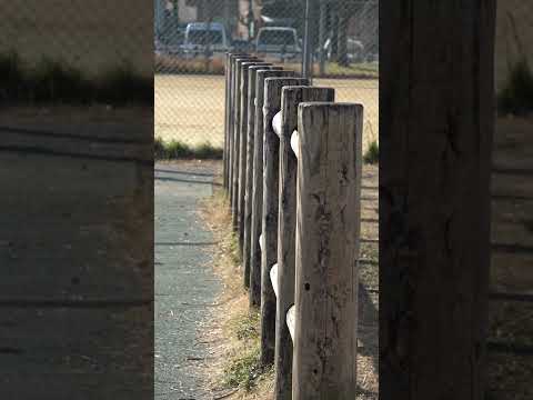 庭の境界を区切る、独創的で安価な境界線のアイデアはいかがでしょうか? 10の素晴らしい通路！  庭園