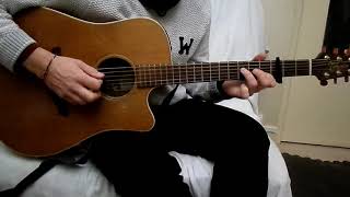 Zac Brown band - Lance&#39;s song guitar intro cover