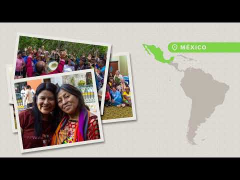URI LAC impact report thumbnail