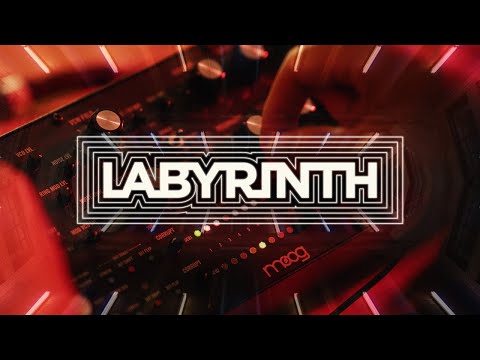 Moog Labyrinth Parallel Generative Analog Synthesizer CABLE KIT image 6