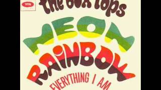 The Box Tops - Neon Rainbow