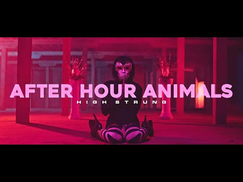 After Hour Animals - High Strung (Official Music Video)