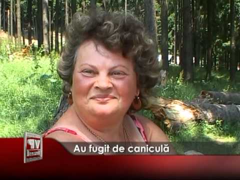 Au fugit de caniculă