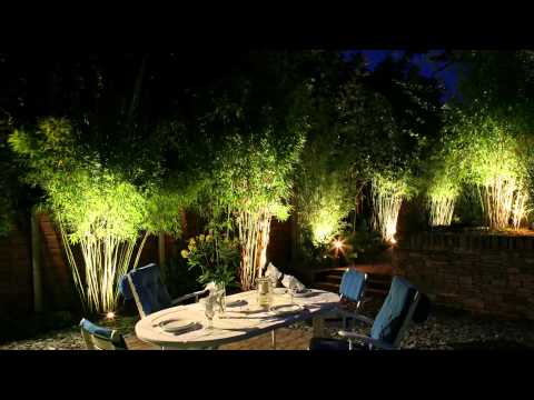 Moonlight garden lighting design