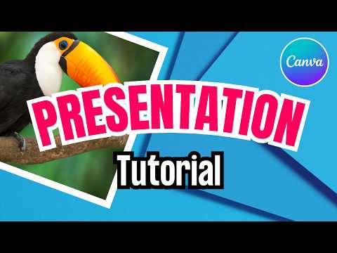 How to Create a Product Animation Video Ad in Canva Step by Step Guide