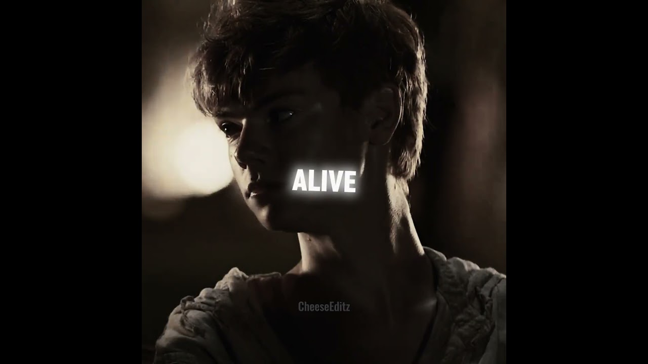 Would you accept this trade? | Maze Runner Edit.