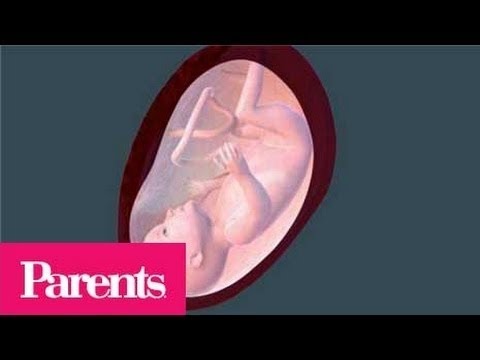 Growing Big: Weeks 31-33 of Pregnancy | Parents