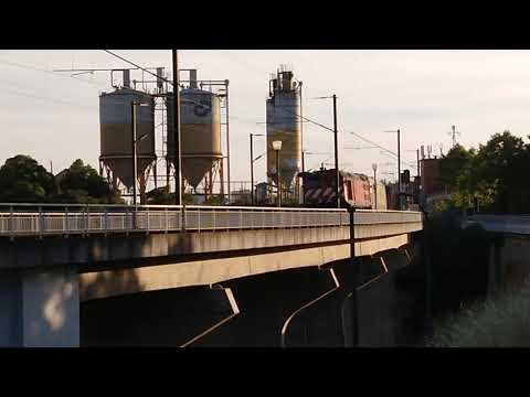 CP 1960 + Medway 4700 e comboio de madeira vazio