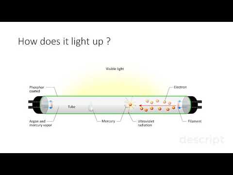 How do Fluorescent Lights works ?