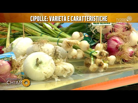 Vediamoci Chiaro, 3 maggio 2021 - Aglio e cipolla