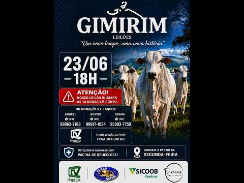 🎥 Leilão Presencial e Virtual Gimirim Leilões - 🎬 tvgado.com.br