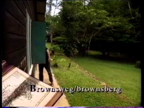 61 (1993) De wereld van Boudewijn Büch - Suriname 2