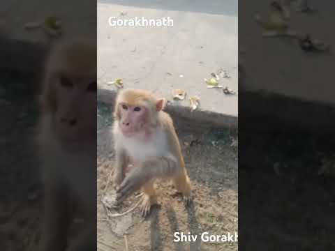 yad Teri aaegi#🙏🙏👍#shotsvideo #