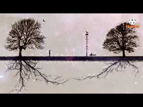 Ti Amo - Umberto Tozzi ft Monica Bellucci