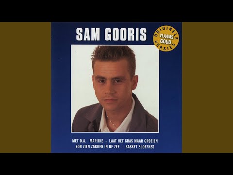 Zon Zien Zakken In De Zee