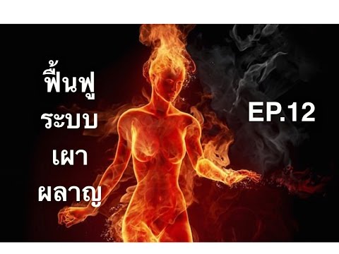 ไข่ดิบช่วยอ่อนแอ การผ่าตัดขยายขนาดอวัยวะเพศ