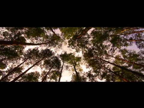 Stupidozid - Zu Dicht (Beat: Ladislav Czech & BenCredit)