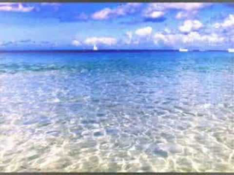 Woah, I'm going to barbados